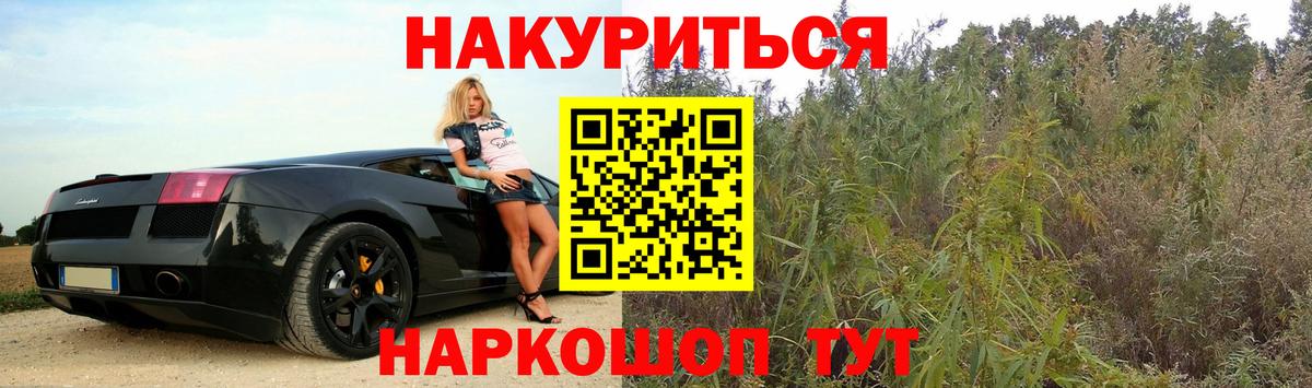 Бошки Шишки тримм  Конопля конопля  Вход с VPN  Бошки марихуана THC 21%  Камышлов 